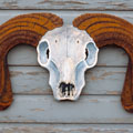 image 02